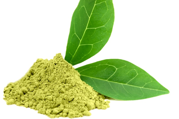 Green Tea Extract Powder