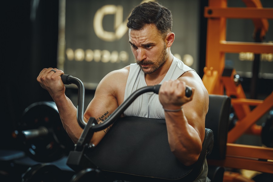 muscle mass