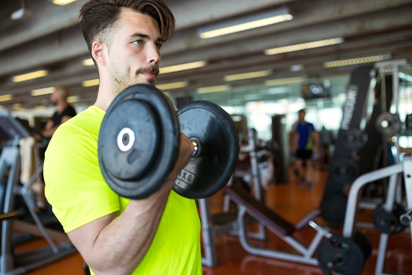 Gym Routines