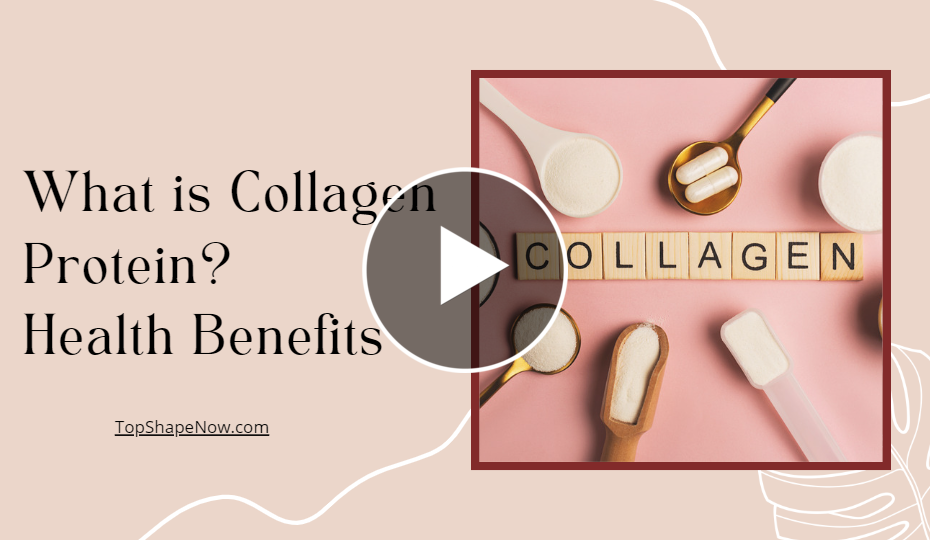 Collagen Protein