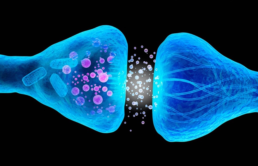Balancing Hormones For Optimal Fitness Gains