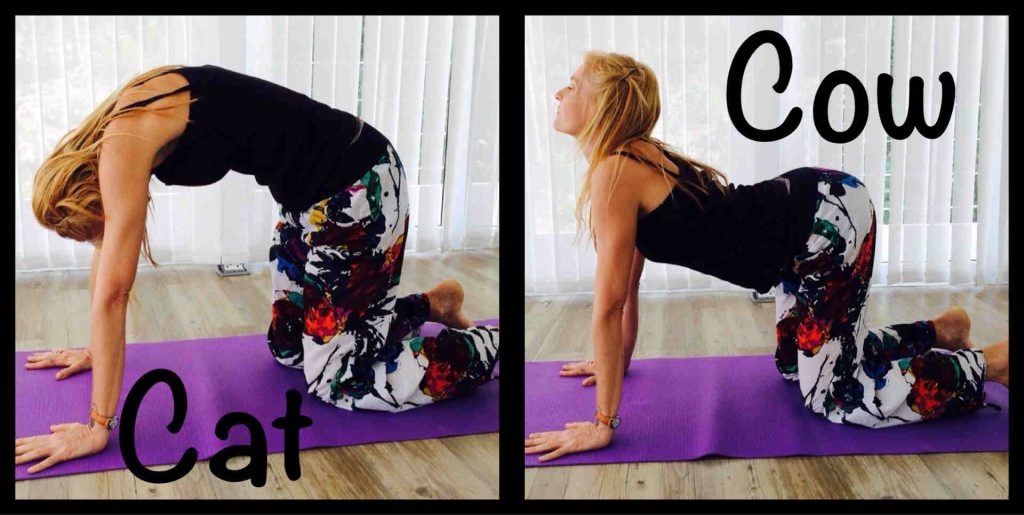 Morning Yoga Poses for a Energized Start to Your Day