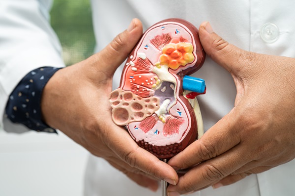 Dangers of High Protein Diets