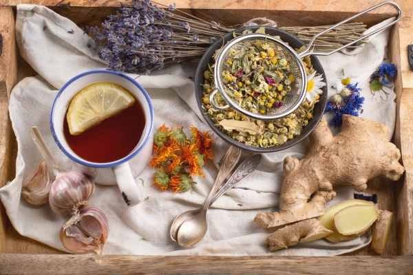 Identify Nutrient Deficiencies & Fix Them